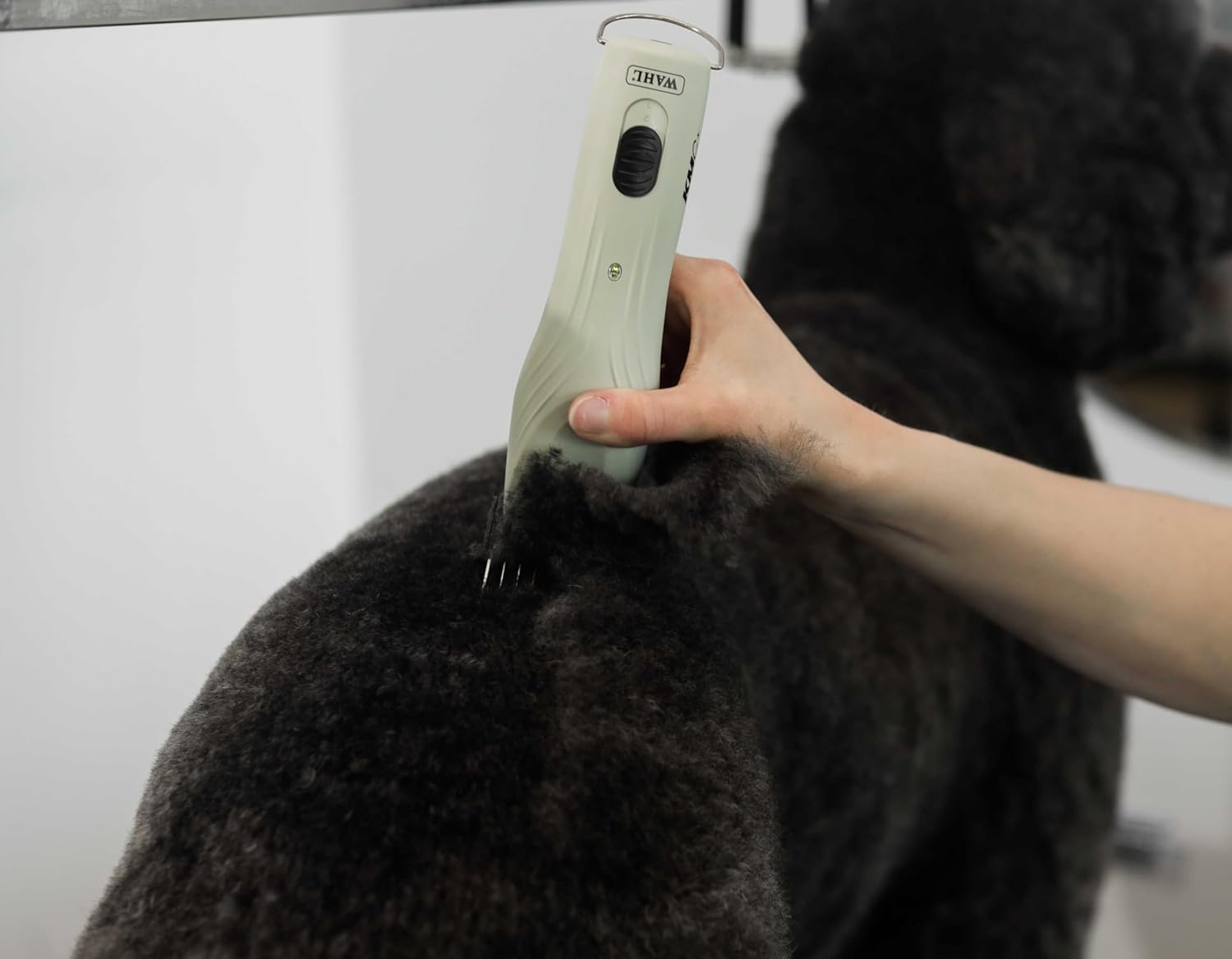 Wahl Professional KMC+ Animal Clipper 2-Speed Brushless Motor Sage - Excellent Condition WAHL
