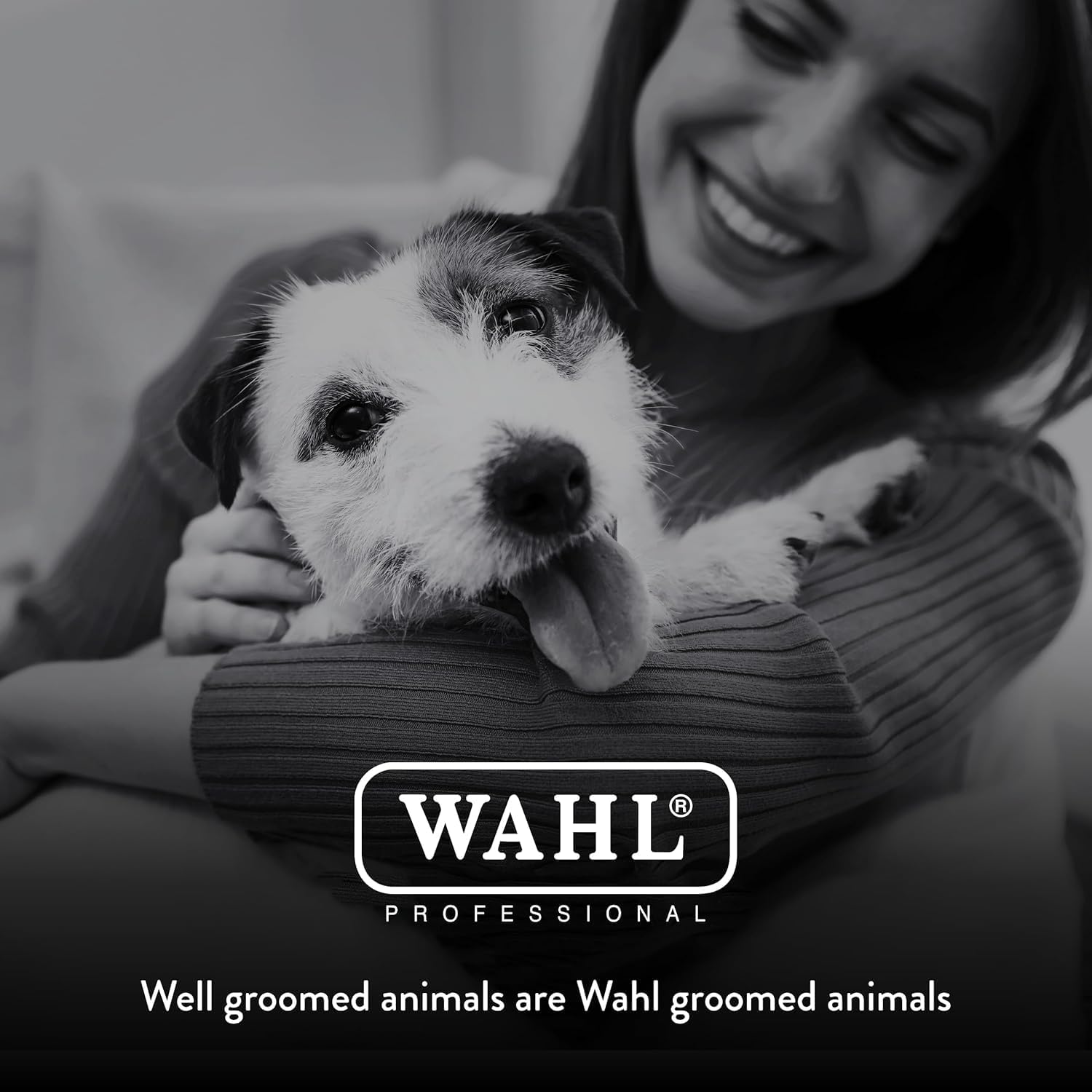 Wahl Professional KMC+ Animal Clipper 2-Speed Brushless Motor Sage - Excellent Condition WAHL
