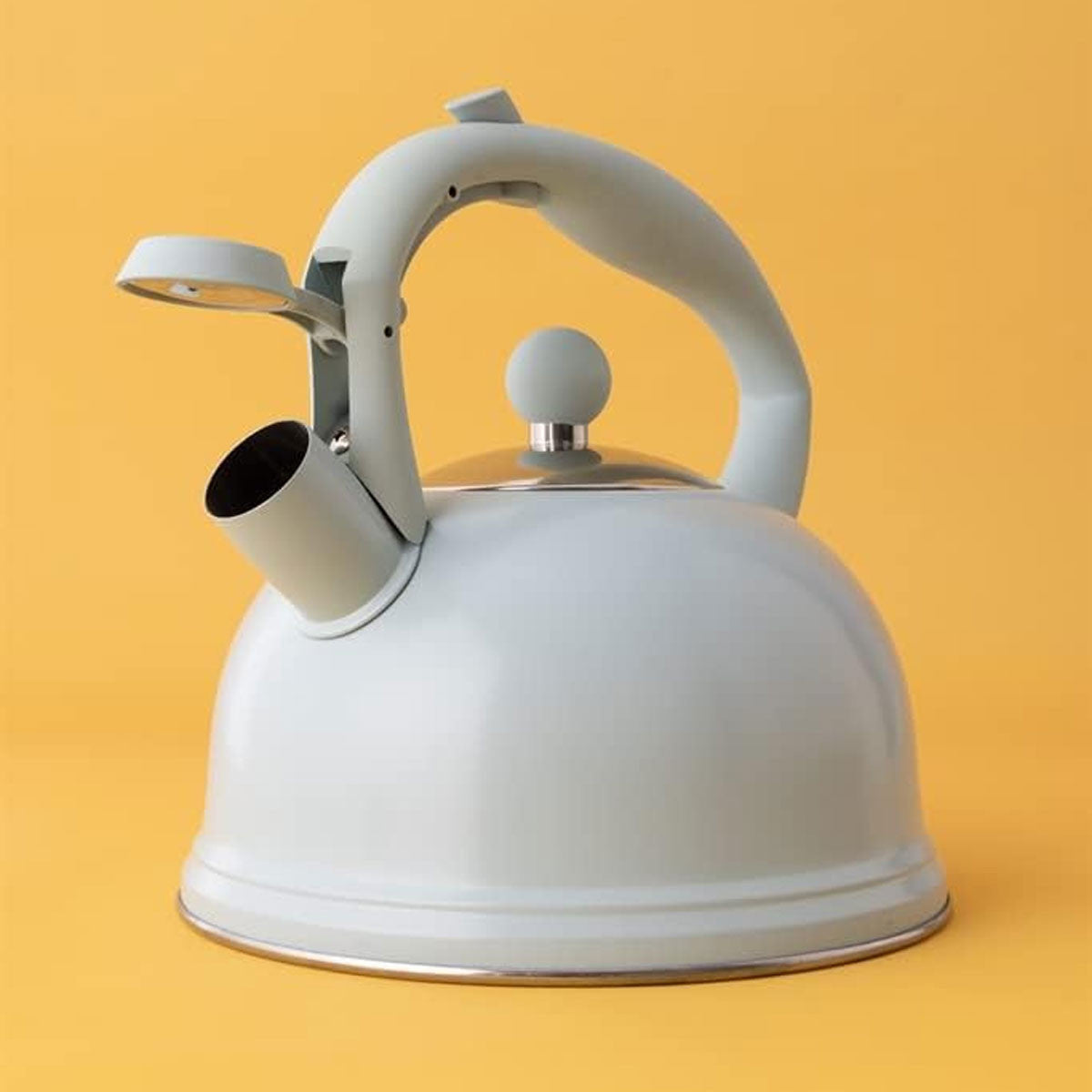 Typhoon Otto Whistling Stovetop Kettle