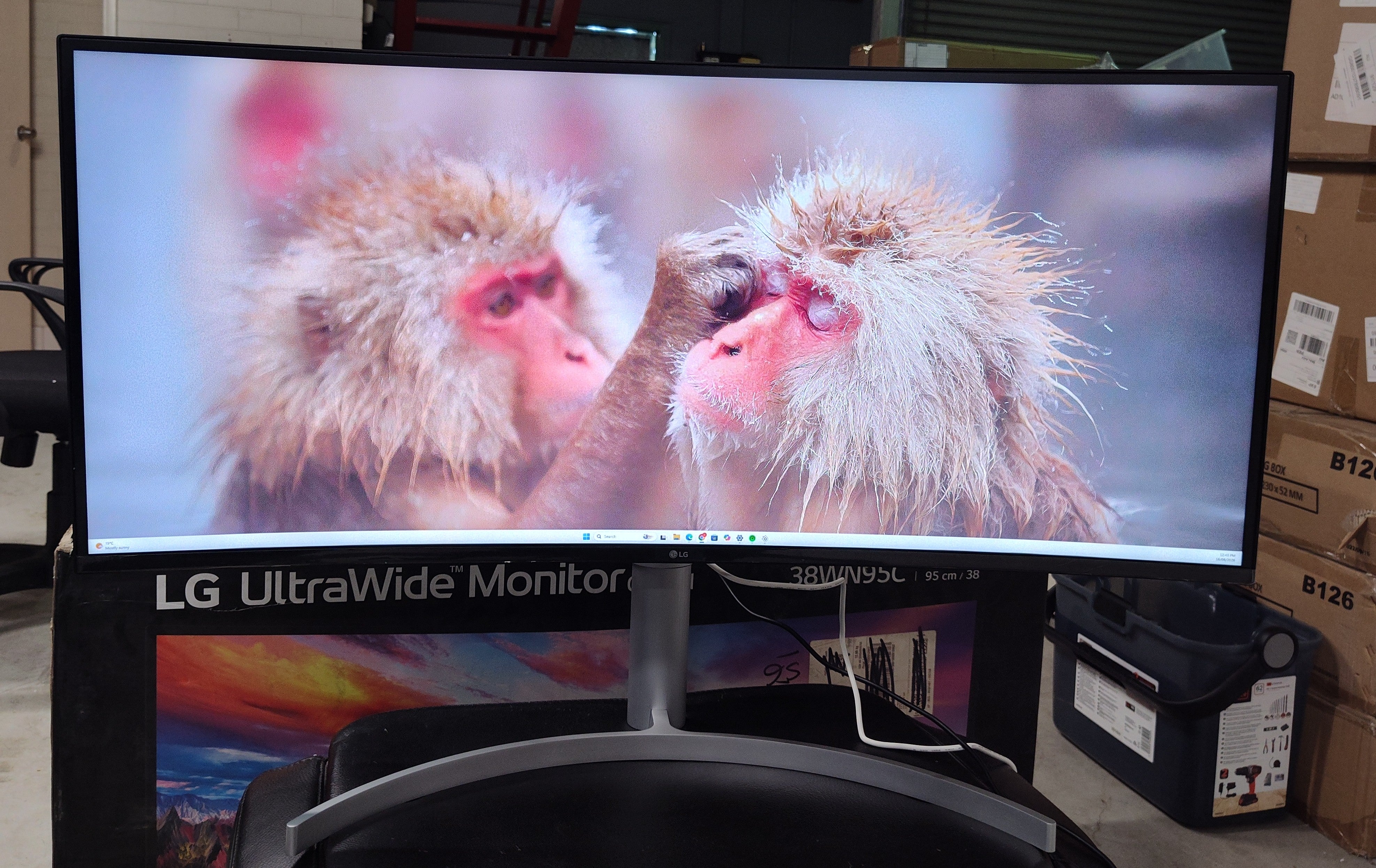 LG 38WN95C-W 38" Curved Ultrawide Monitor WQHD+ Nano IPS Thunderbolt 3 – Excellent Condition LG
